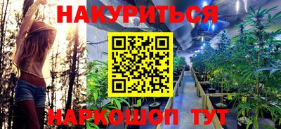 прущие грибы Нягань